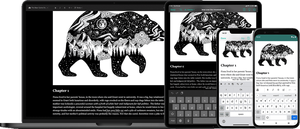Access your writer's notebook entries across multiple devices, including web app, iPadOS, iOS and Android